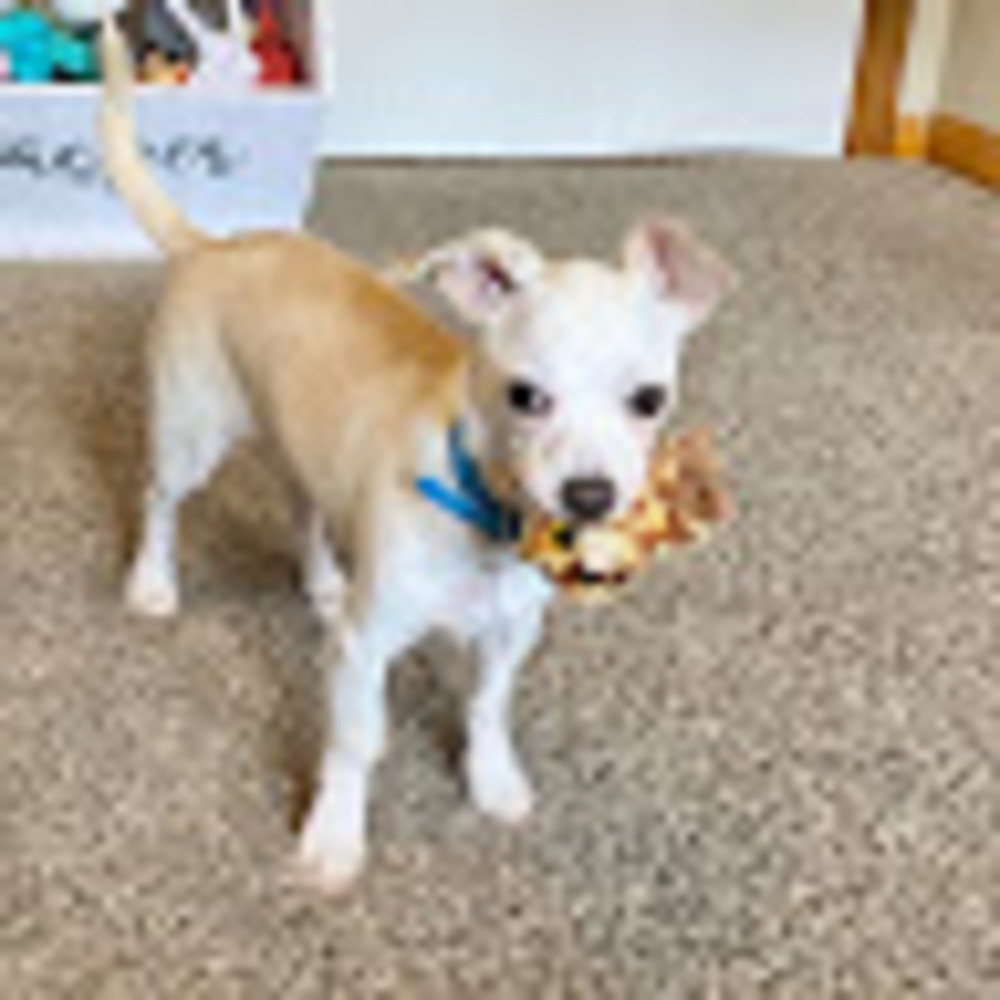 Meet your Posher, Mckenzie